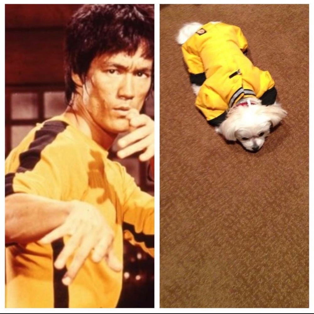 Muttluks Reversible snowsuit yellow/black never worn outside